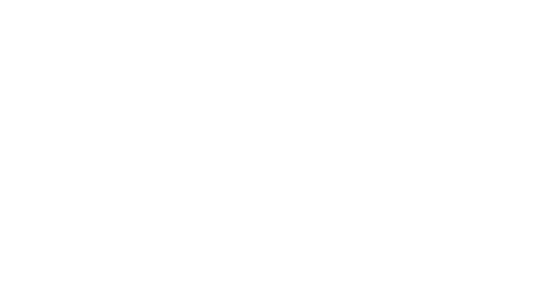 WebCognito_Lion